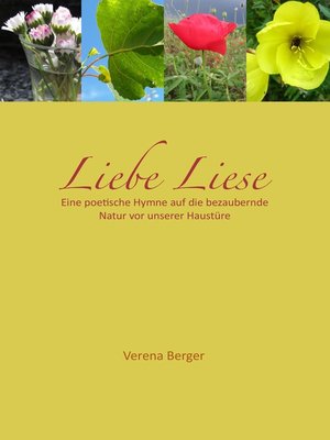 cover image of Liebe Liese
